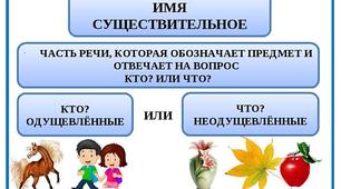 Имя существительное как часть речи.