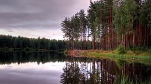 Класифікація  міст.  Урбанізація.  8  клас