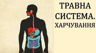 Травна система