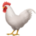 Rooster