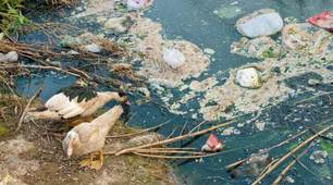 Презентація з географії "Підземні води — води в товщі земної кори."