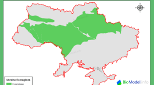 Чи знаєш ти лісостеп?