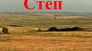 Степова зона України