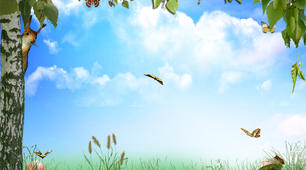 Заняття на тему: «Сонячними стежинами крокують малята, щоб про все на світі якнайкраще знати!»