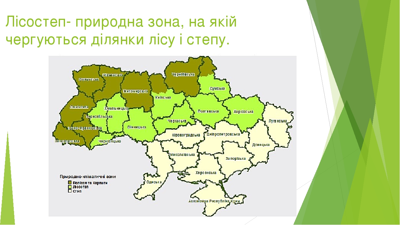 Презентація на тему "Лісостепова зона України"