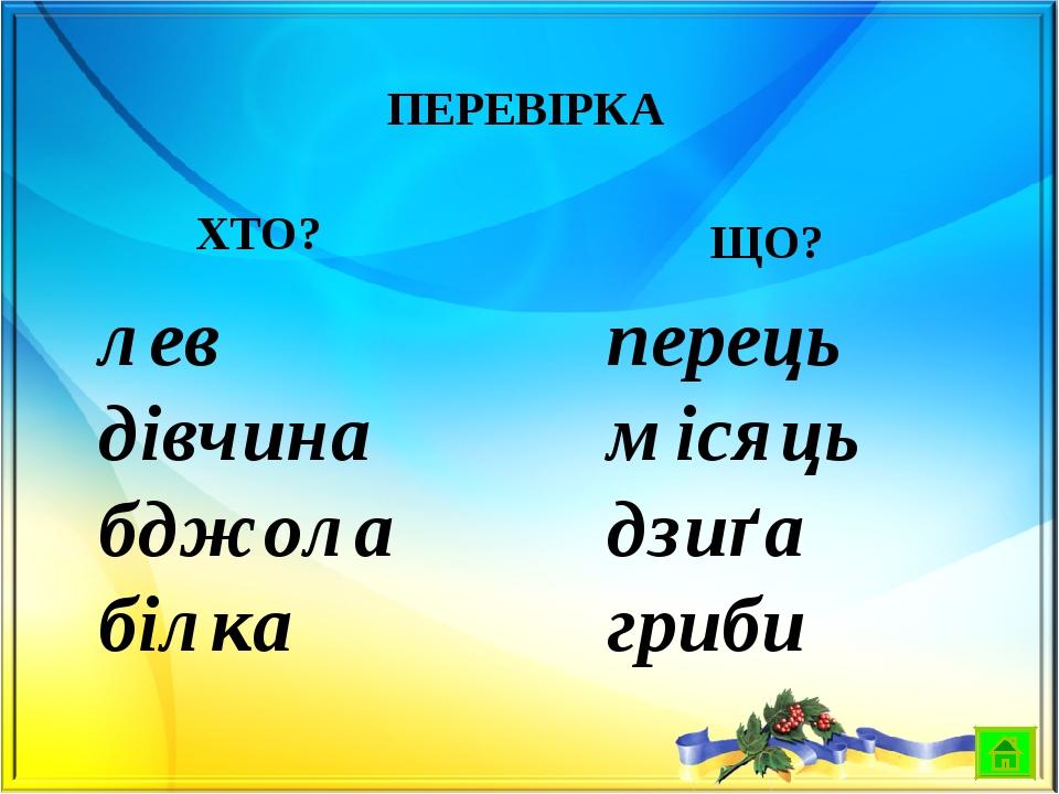 Презентація "Іменник", 2 клас | . Українська мова