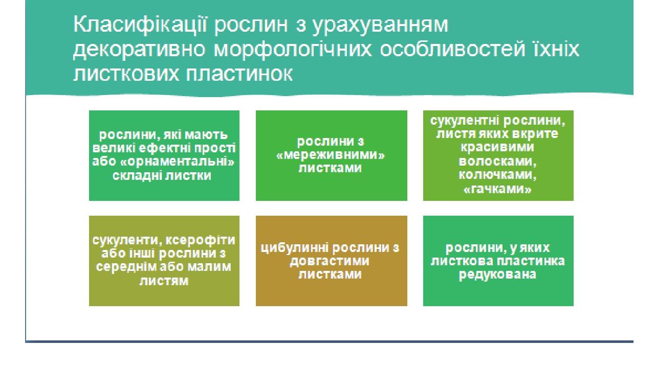 011-0x0.jpg