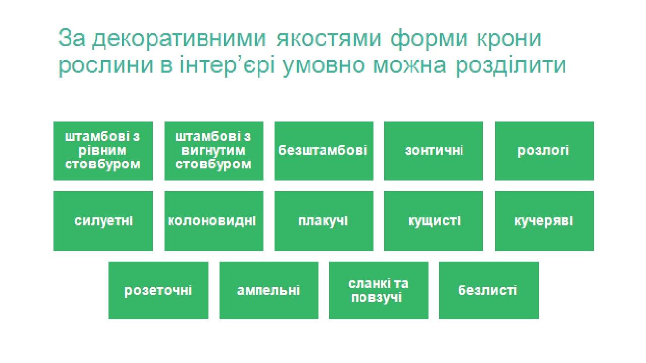 013-0x0.jpg