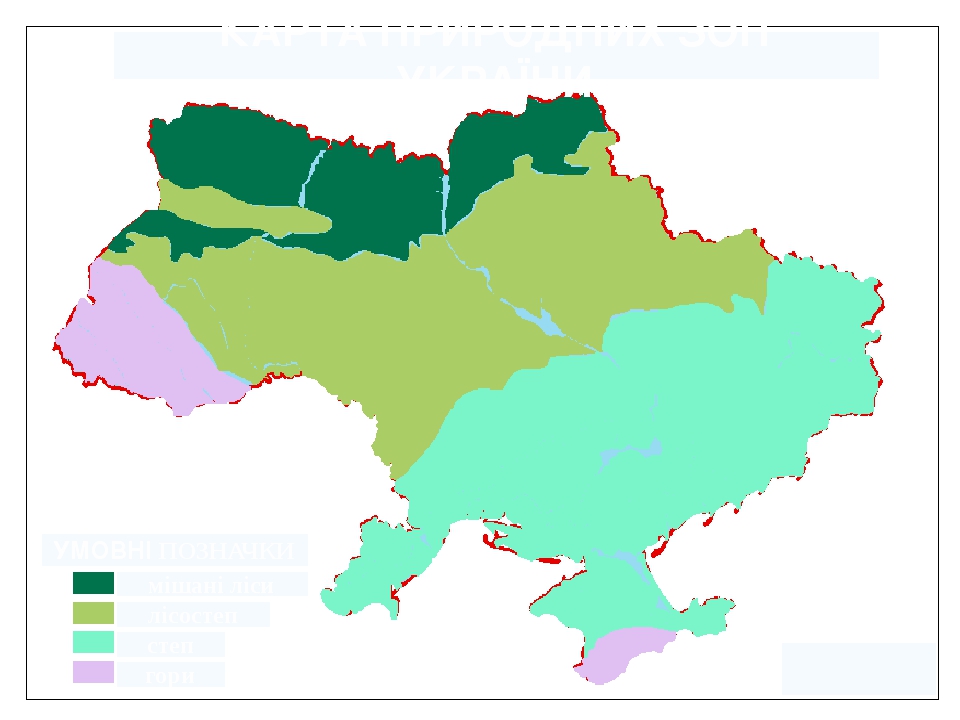 Карта дап степ