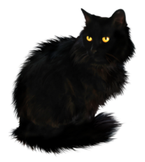 КЛИПАРТ PNG БЕЗ ФОНА - Кошки,котики - чёрная кошка картинки png.