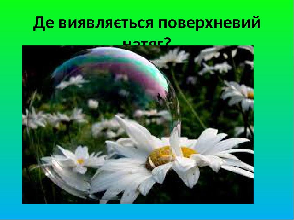 Де виявляється поверхневий натяг?
