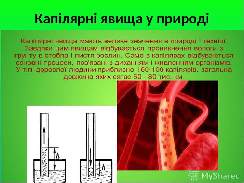 Капілярні явища у природі