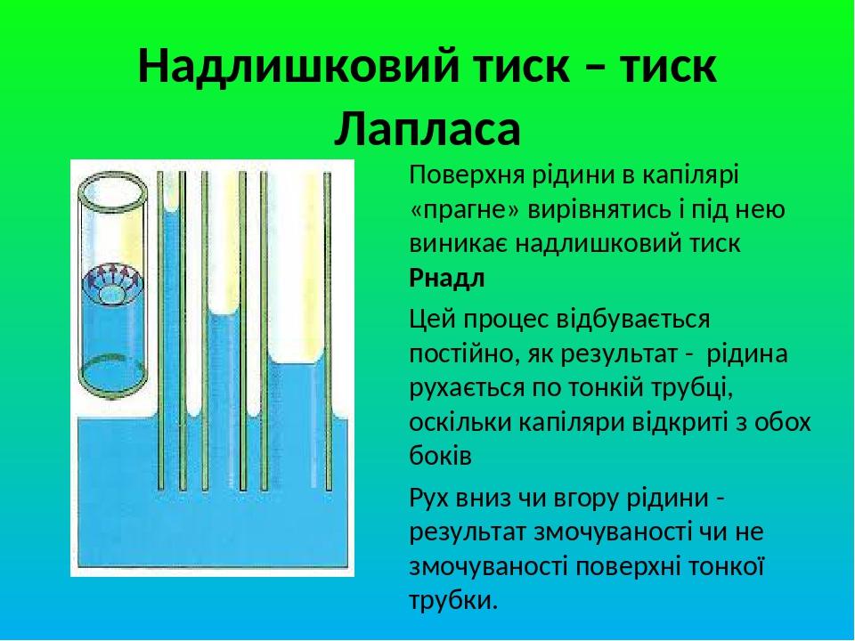 Надлишковий тиск – тиск Лапласа Поверхня рідини в капілярі «прагне» вирівнятись і під нею виникає надлишковий тиск Рнадл Цей процес відбувається по...