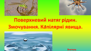 Презентація "Поверхневий натяг рідин. Змочування. Капілярні явища"