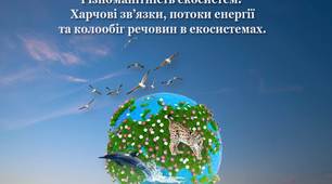 Презентація. Різноманітність екосистем. Харчові зв'язки.