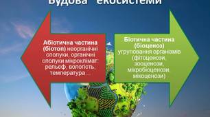 Відеоурок. Екосистема. Різноманітність екосистем. Частина 1.