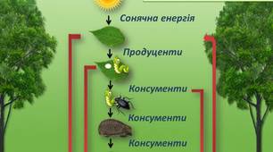 Відеоурок. Екосистема. Різноманітність екосистем. Частина 2.