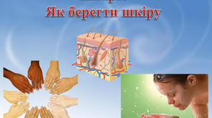 Шкіра. Як берегти шкіру.