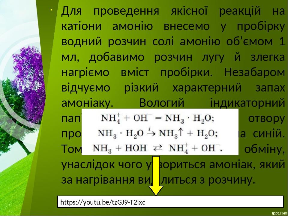Для проведення якісної реакцій на катіони амонію внесемо у пробірку водний розчин солі амонію об’ємом 1 мл, добавимо розчин лугу й злегка нагріємо ...