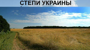 Природа України. Степ.