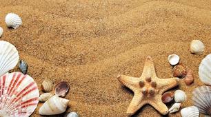 Sandplay , як багатофункціональний метод роботи з дітьми раннього віку