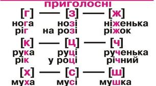 Завдання для учнів 5-Б класу (українська мова)