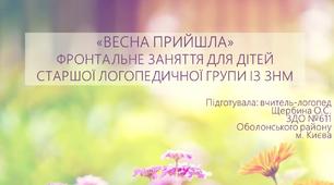 Фронтальне заняття "Весна прийшла"
