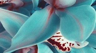 Консультація для батьків «Сім’я – перша школа морального зростання»