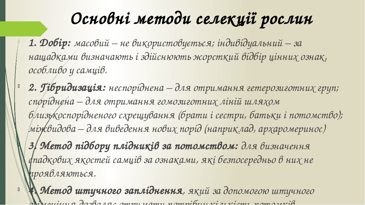 1. Добір: масовий – не використовується; індивідуальний – за нащадками визначають і здійснюють жорсткий відбір цінних ознак, особливо у самців. 2. ...