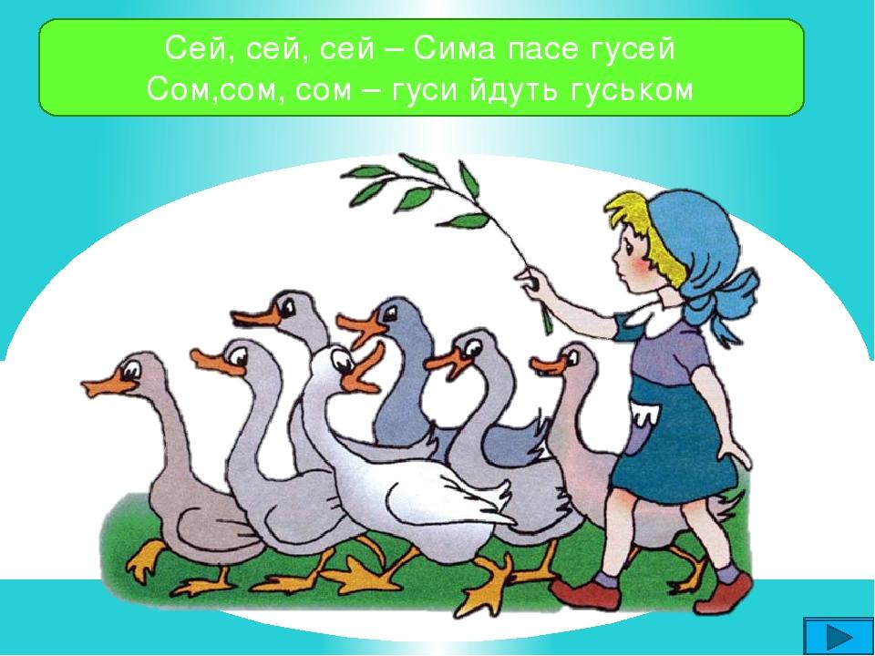Сей, сей, сей – Сима пасе гусей Сом,сом, сом – гуси йдуть гуськом