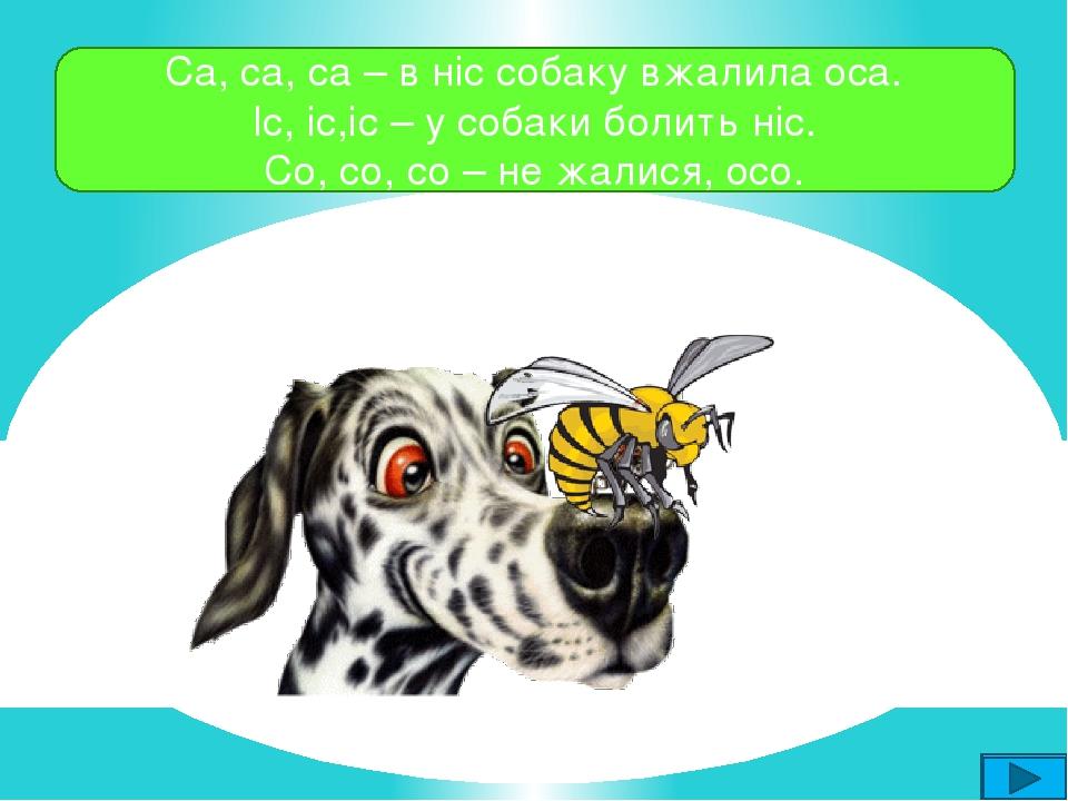 Са, са, са – в ніс собаку вжалила оса. Іс, іс,іс – у собаки болить ніс. Со, со, со – не жалися, осо.