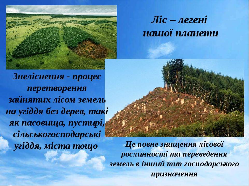 Це повне знищення лісової рослинності та переведення земель в інший тип господарського призначення Ліс – легені нашої планети Знеліснення - процес ...