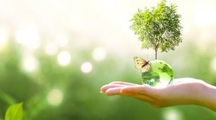 B1 - English Listening Comprehension - Green Energy in Africa