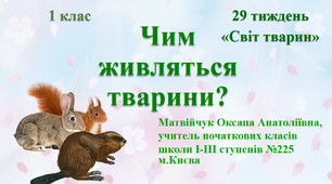Презентація "Чим живляться тварини" (тест з LEGO) Тиждень 29. Світ тварин
