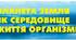 Контроль навчальних досягнень учнів з теми: "Планета Земля як середовище життя організмів"