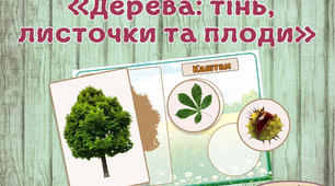 Дидактична гра "Дерева: тінь, листочки та плоди"