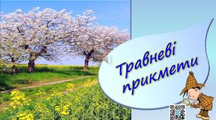 Презентація "Прикмети травня" 2 клас ,ЯДС(матеріал для дистанційного навчання)