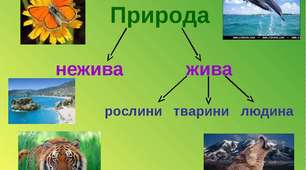 Чинники живої та неживої природи.