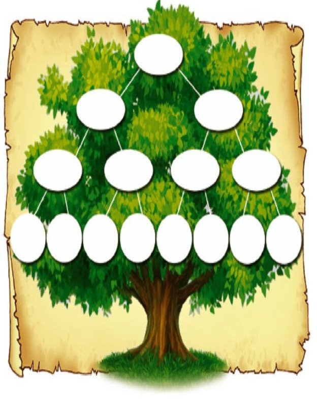 Шаблон для семейного древа распечатать. Шежере родословная. Дерево Древо семьи. Генеологичне дерево. Генеалогическое Древо макет.
