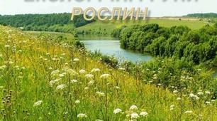 Екологічні групи рослин