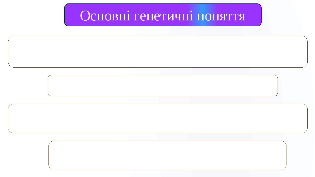 Ген - одиниця спадковості, яка розташована на певній ділянці хромосоми – у локусі. Основні генетичні поняття Генотип – сукупність усіх генів органі...