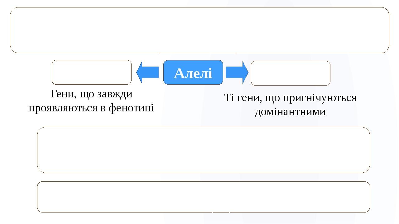 Алельні гени (алелі) – гени, що перебувають у різних станах, але займають один локус в хромосомах однієї пари та визначають різні стати первної озн...