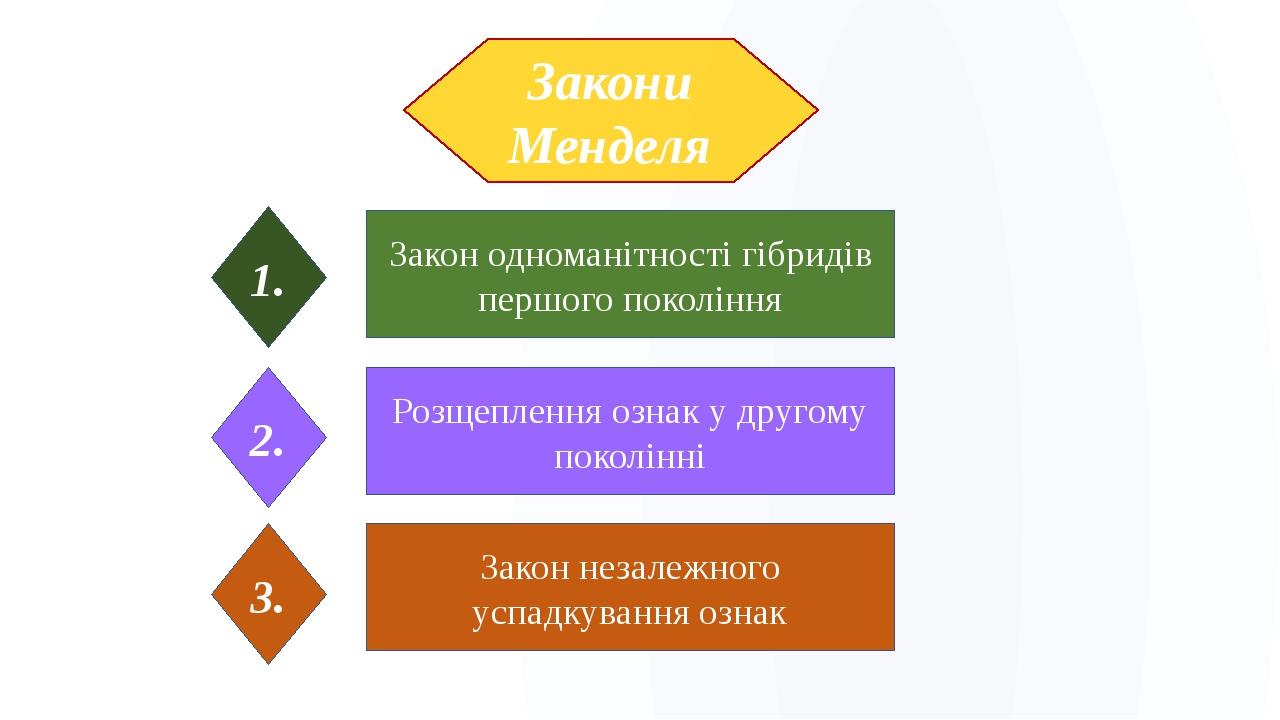 Закони Менделя Закон одноманітності гібридів першого покоління 1. Розщеплення ознак у другому поколінні 2. Закон незалежного успадкування ознак 3.