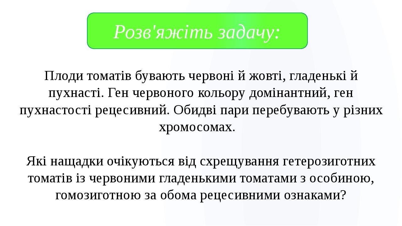 Плоди томатів бувають червоні й жовті, гладенькі й пухнасті. Ген червоного кольору домінантний, ген пухнастості рецесивний. Обидві пари перебувають...