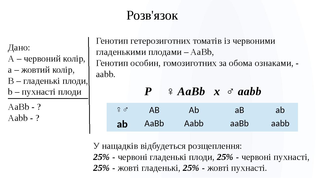 Дано: А – червоний колір, а – жовтий колір, В – гладенькі плоди, b – пухнасті плоди Розв'язок Генотип гетерозиготних томатів із червоними гладеньки...