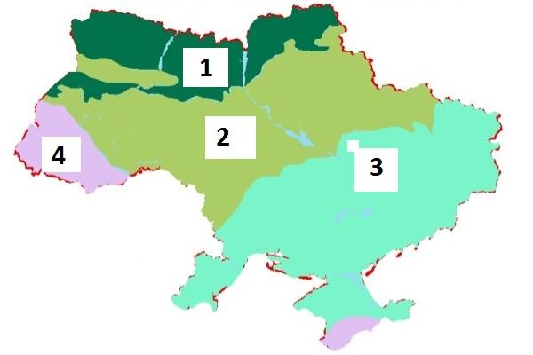 Встановити відповідність між номером та назвою природної зони.