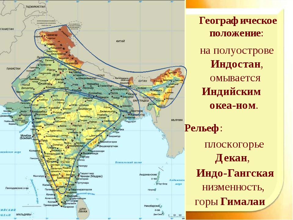 Индо гангская низменность фото