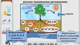 Мінеральні добрива . Грунти.11 клас (рівень стандарту)