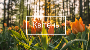 Вправи на творення і вживання дієслів теперішнього, минулого і майбутнього часу у власних висловлюваннях