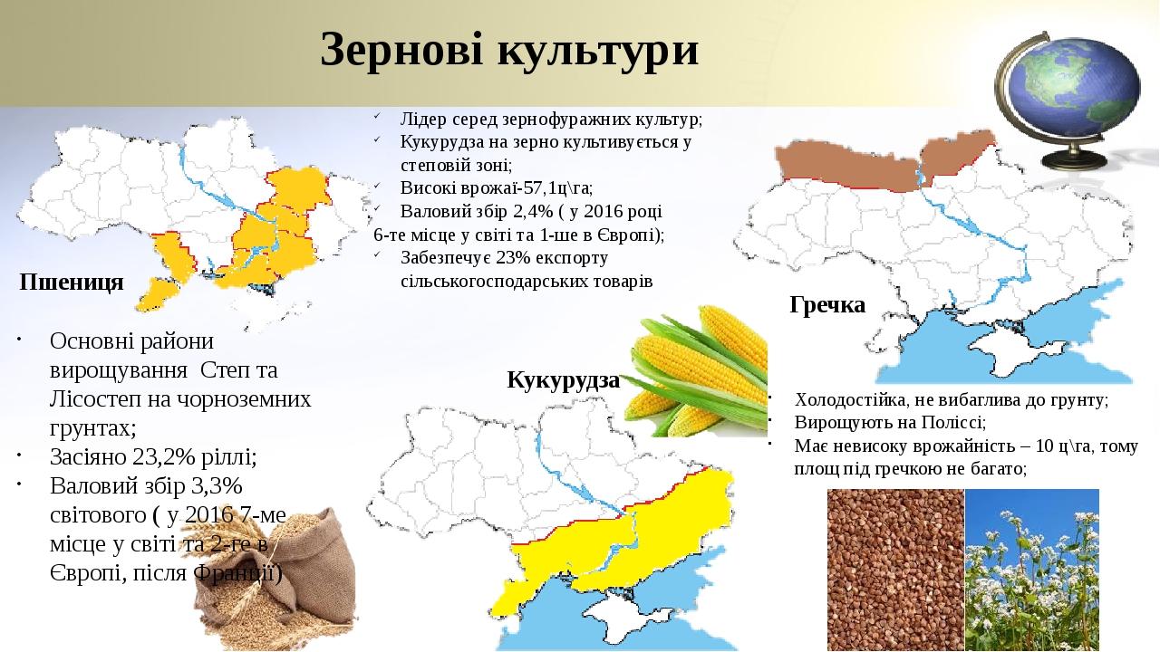 Основні райони вирощування Степ та Лісостеп на чорноземних грунтах; Засіяно 23,2% ріллі; Валовий збір 3,3% світового ( у 2016 7-ме місце у світі та...